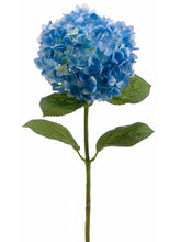Load image into Gallery viewer, Blue Violet