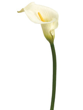 Load image into Gallery viewer, Cream