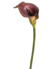 Load image into Gallery viewer, Plum