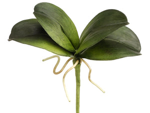 8" Mini Phalaenopsis Orchid Leaf Plant Green (pack of 12)