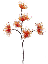 Load image into Gallery viewer, Orange