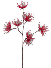 Load image into Gallery viewer, Red