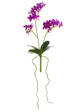 Load image into Gallery viewer, Orchid