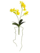 Load image into Gallery viewer, Yellow
