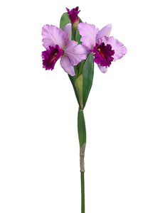 27" Cattleya Orchid Spray  Two Tone Orchid (pack of 12)