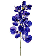 Load image into Gallery viewer, Purple