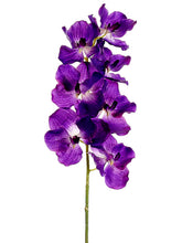 Load image into Gallery viewer, Violet