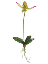 Load image into Gallery viewer, Green Fushia