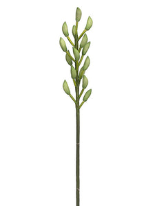 46" Cymbidium Bud Spray  Green (pack of 6)