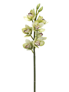 47" Cymbidium Orchid Spray With 7 Flowers And 3 Buds Green (pack of 6)