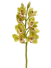 Load image into Gallery viewer, Green Burgundy