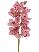 Load image into Gallery viewer, Rubrum