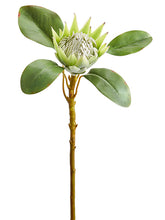 Load image into Gallery viewer, Green Cream