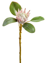 Load image into Gallery viewer, Pink Green