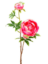 Load image into Gallery viewer, White Pink