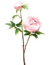 Load image into Gallery viewer, Pink