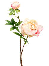 Load image into Gallery viewer, Cerise Fuchsia