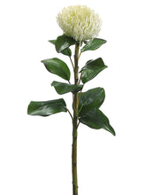 Load image into Gallery viewer, White