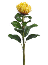 Load image into Gallery viewer, Yellow