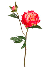 Load image into Gallery viewer, Coral