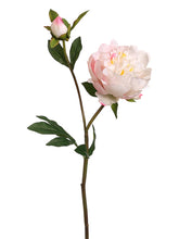 Load image into Gallery viewer, Cream Cerise