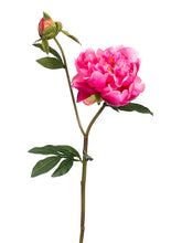 Load image into Gallery viewer, Mauve