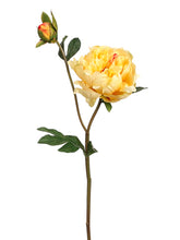 Load image into Gallery viewer, Light Yellow