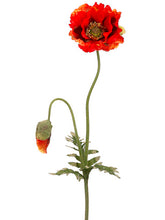 Load image into Gallery viewer, Orange