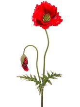 Load image into Gallery viewer, Red