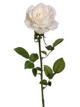 Load image into Gallery viewer, Cream