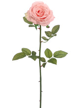 Load image into Gallery viewer, Peach