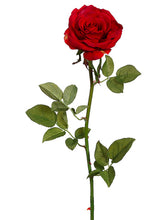 Load image into Gallery viewer, Red