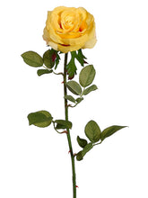 Load image into Gallery viewer, Yellow