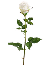 Load image into Gallery viewer, Cream Cerise