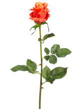 Load image into Gallery viewer, Orange