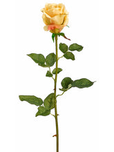 Load image into Gallery viewer, Light Yellow