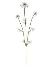 Load image into Gallery viewer, Lavender