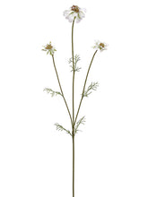 Load image into Gallery viewer, White