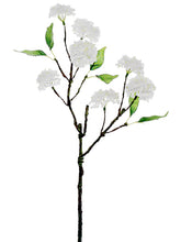 Load image into Gallery viewer, White
