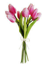 Load image into Gallery viewer, Light Beauty