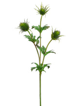 Load image into Gallery viewer, Green