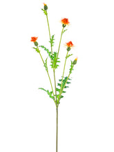 Load image into Gallery viewer, Orange Flame