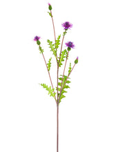 Load image into Gallery viewer, Violet