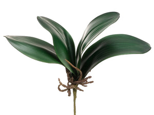 12" Phalaenopsis Orchid Leaf Spray Green (pack of 12)