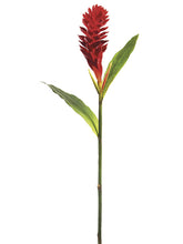 Load image into Gallery viewer, Red