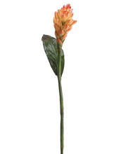 Load image into Gallery viewer, Flame Orange