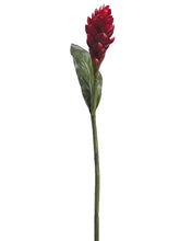 Load image into Gallery viewer, Red