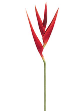 Load image into Gallery viewer, Red