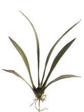 Load image into Gallery viewer, Green Rust