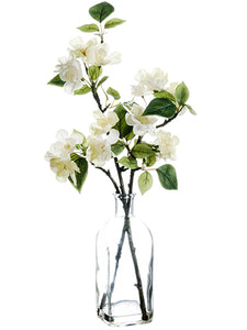18" Cherry Blossom in Glass Vase White Cream (pack of 12)